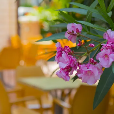 Lalla Hotel 3*
